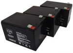 Tripp Lite BC 1400 Pro  12V12AH  UPS Battery Set For Cheap